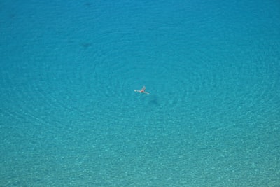 白天在水面上游泳的人的航拍照片